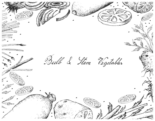 Bulb and Stem Vegetables Frame on White Background