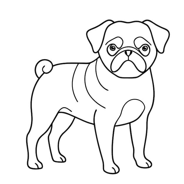 Vector bull dog line art