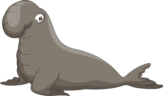 Bull Elephant Seal