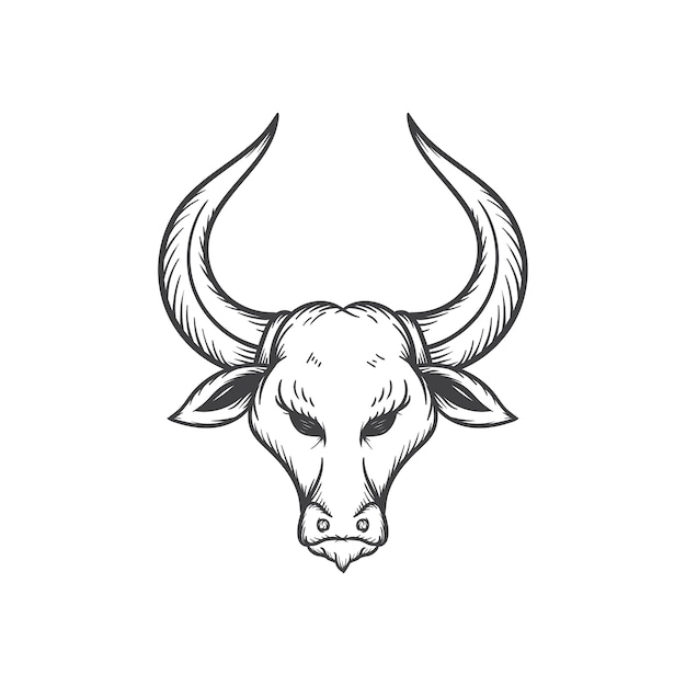 bull head illustration