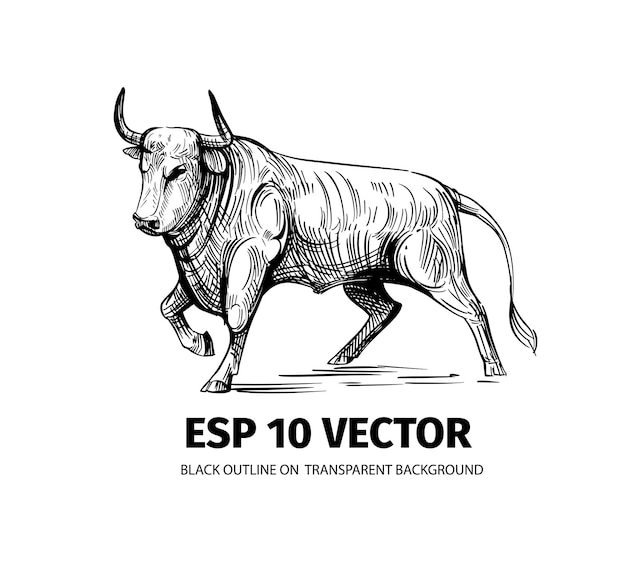 Bull sketch Vector illustration black outline on transparent background