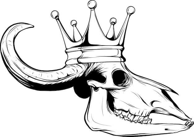 bull skull vector art outline illustration