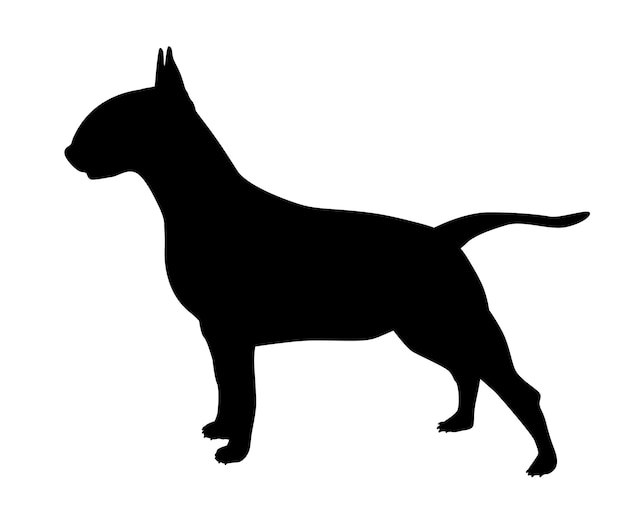 Bull terrier silhouette of a standing dog