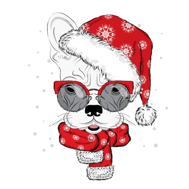 Bulldog in a Christmas hat and sunglasses.  illustration for a card or poster. Print on clothes. Cute puppy. Pedigree dog. Winter holidays. New Year's and Christmas.