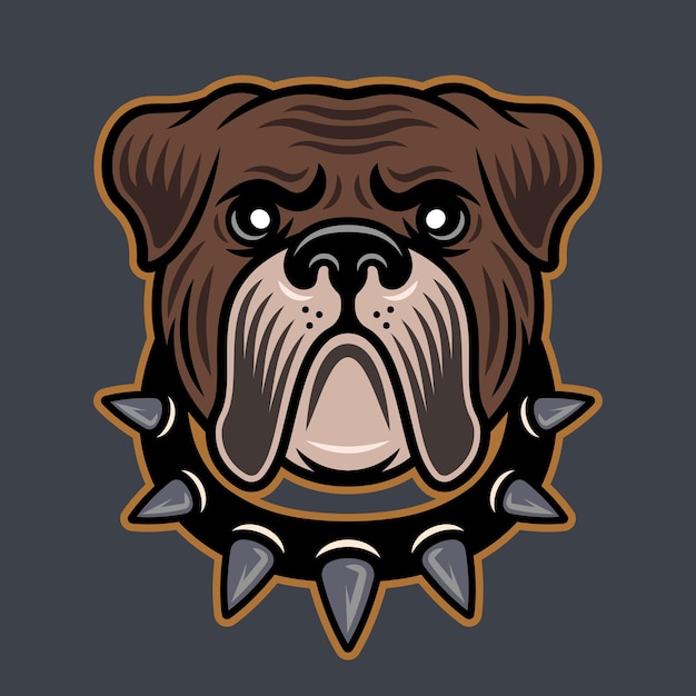 Bulldog head in spiked collar vector illustration in colored style isolated on gray background