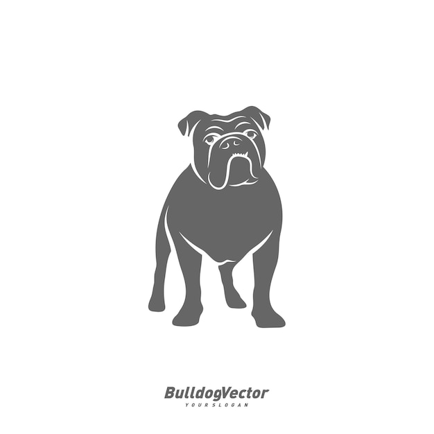 Bulldog logo design vector template Silhouette of Bulldog design illustration