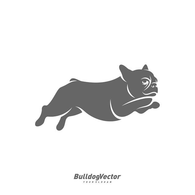 Bulldog logo design vector template Silhouette of Bulldog design illustration