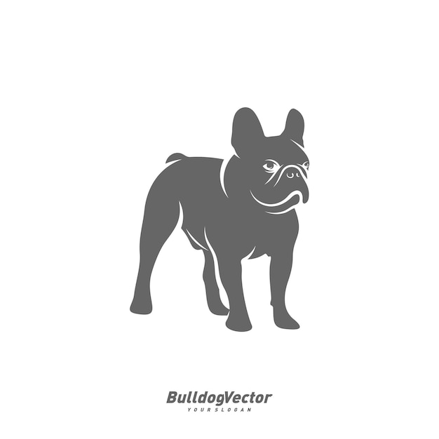 Bulldog logo design vector template Silhouette of Bulldog design illustration