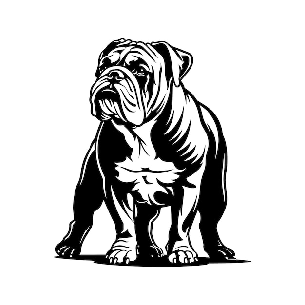 Vector bulldog standing on a white backgroundsilhouette illustrator vector design