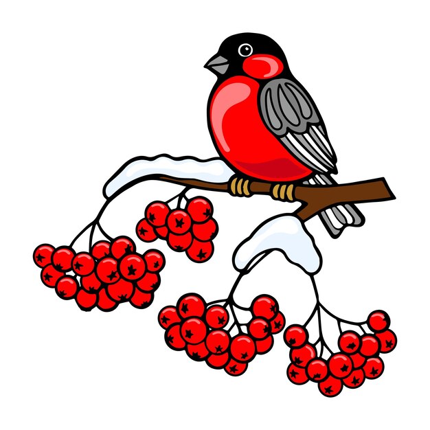 Vector bullfinch bird on a snow-covered branch of red rowan. colorful winter illustration, vector