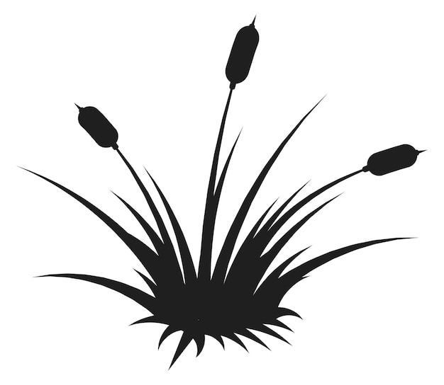 Bulrush silhouette Wetland natural plant black icon