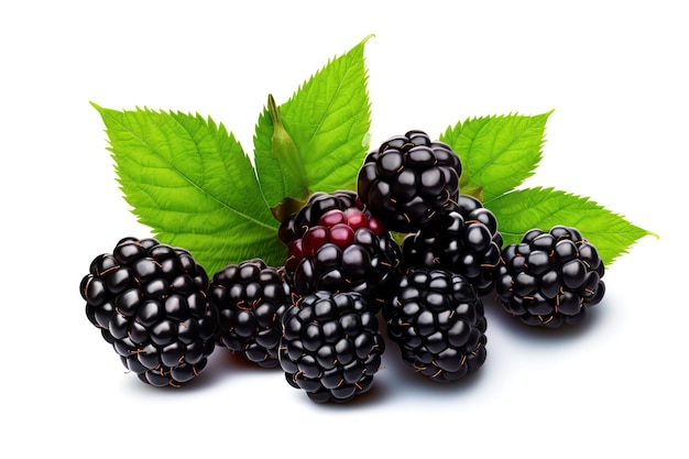 Vector a bunch of blackberries with a green leaf that says quot blackberry quot