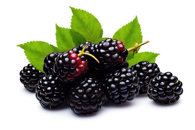 a bunch of blackberries with the word black on it