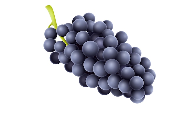 A bunch of dark grapes Vector illustration Sketch for creativity