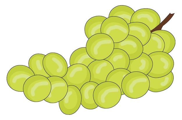 Bunch of delicious grapes