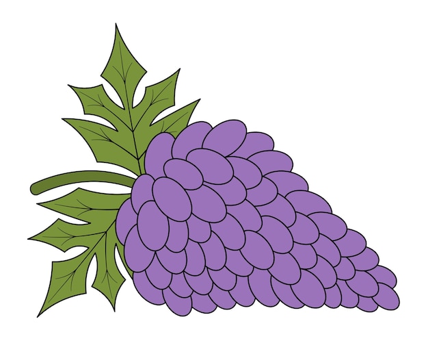 Bunch of grapes Sprig of juicy purple berries and green veined foliage in cartoon style