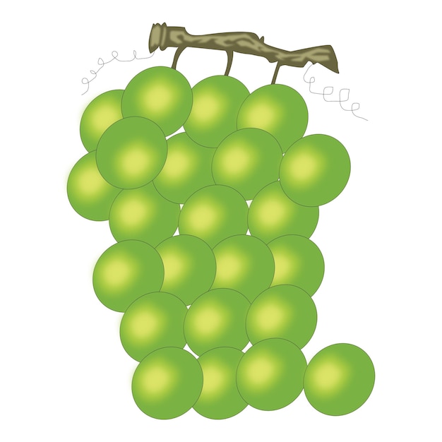 A bunch of grapes