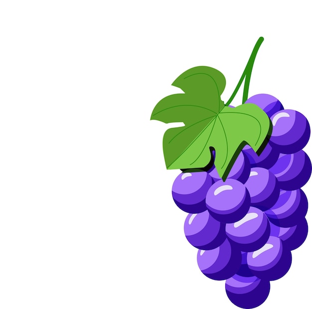 A bunch of a grapes