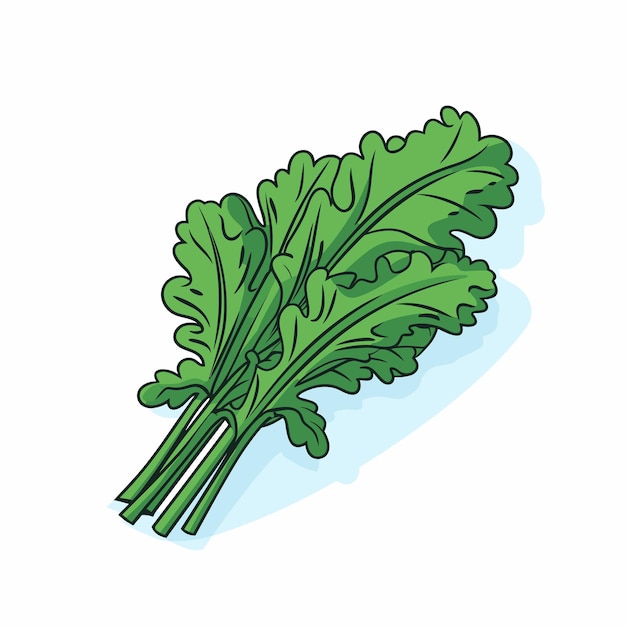 A bunch of green leafy vegetables on a white background