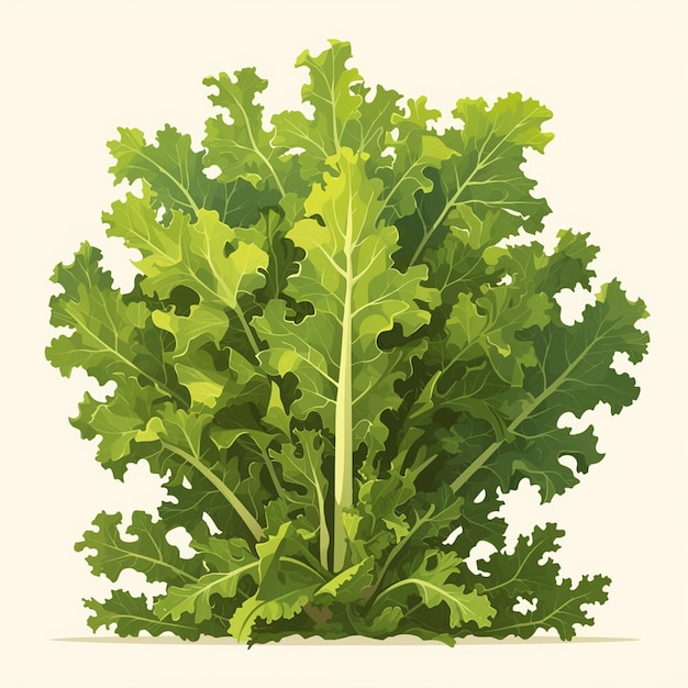 Bunch of Kale Leaves with Curly Edges