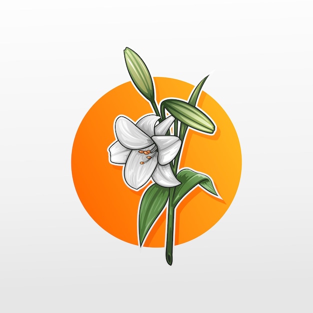 bunch of lily flowers illustration vector