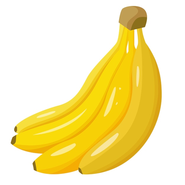 A bunch of ripe bananas. Vector