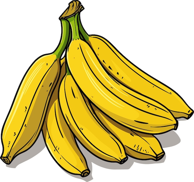 Bunch of Ripe Yellow Bananas isolated on white background Vector color image