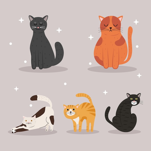 Bundle of five cats differents colors mascots characters