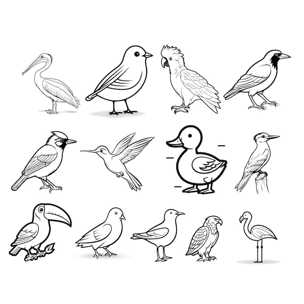 Vector a bundle of hand drawn engrave style bird vector illustrations for print