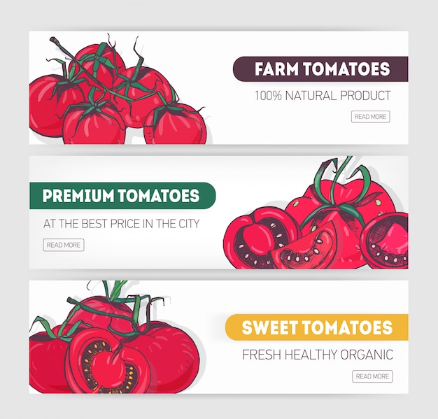 Bundle of horizontal web banner templates with sliced and whole red tomatoes and place for text.