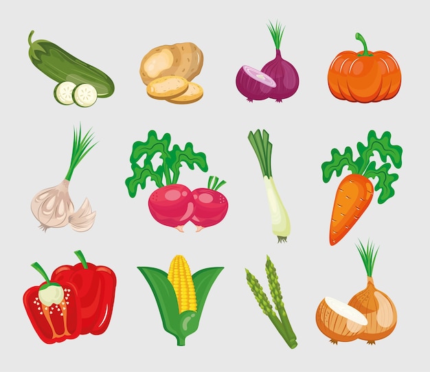 Bundle of twelve vegetables set in white background.