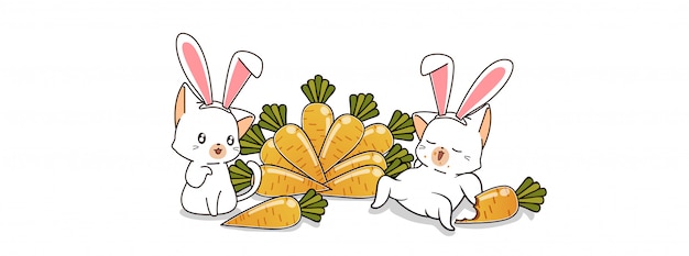 bunny cats and carrots in spring day