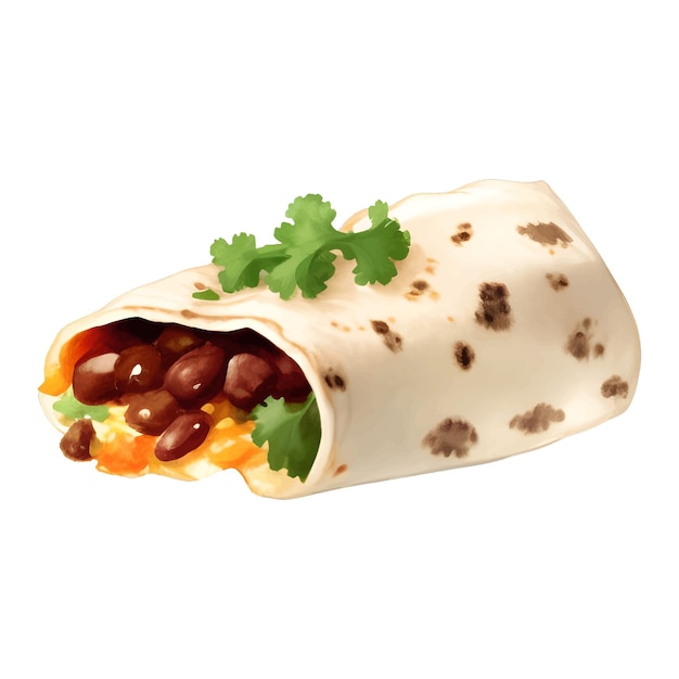 Burrito Tortilla Wrap Isolated Detailed Hand Drawn Realistic Illustration