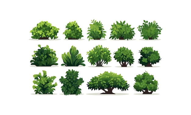 bush set vector flat minimalistic isolated illustration