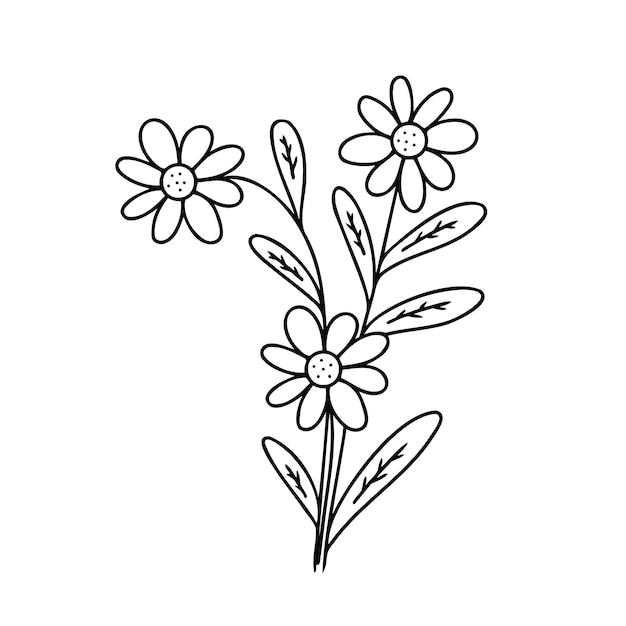 Bush with daisies Coloring book Hand drawn illustration