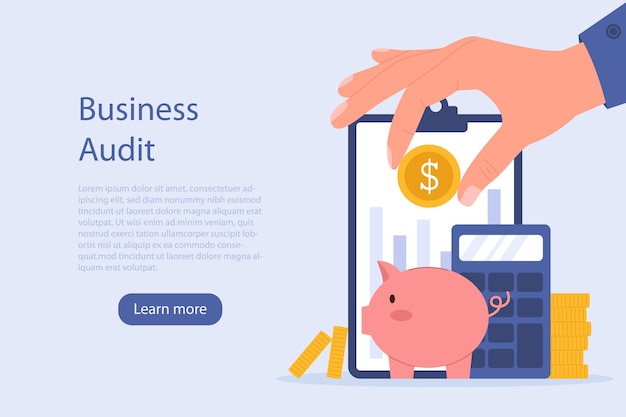 Business audit landing page concept