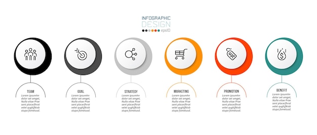 Business concept infographic template with options