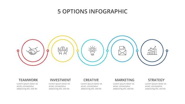 Business infographic template. Thin line diagram with numbers 5 options or steps. Timeline element.