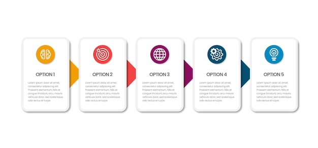 Business infographics five options with icons vector illustration