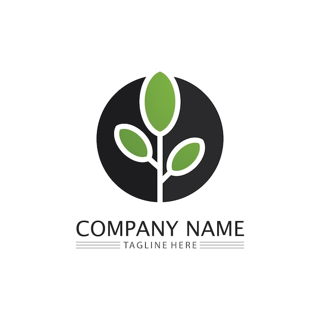 Business logo design Concept image vector Graphic illustration