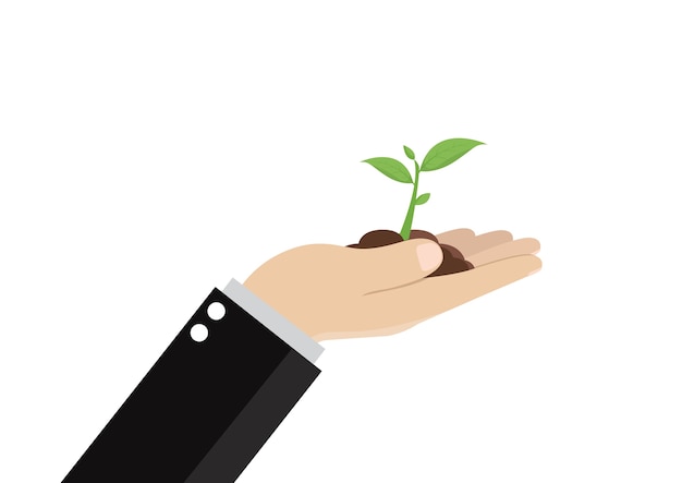 Businessman hand holding green leaf tree.