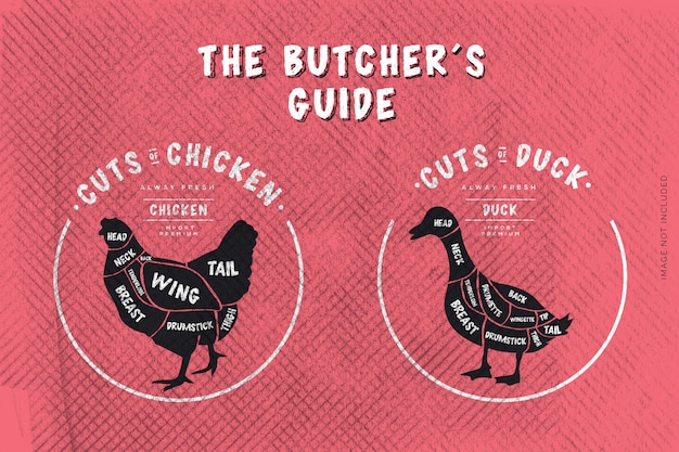 The butcher's Guide, Cut of Beef