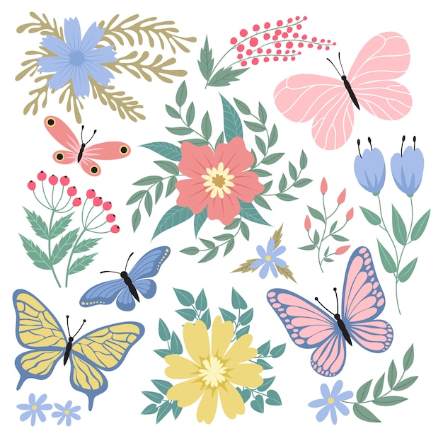 Butterflies and flowers illustration