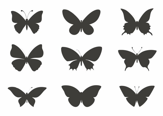 Vector butterflies silhouette collection on white background