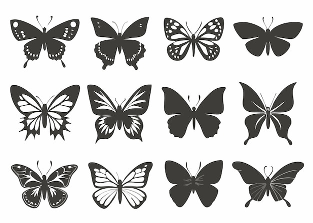 Vector butterflies silhouette collection on white background