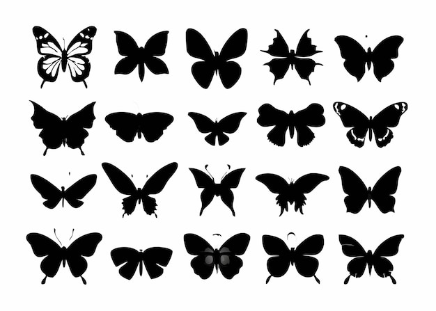 Vector butterflies silhouette collection on white background