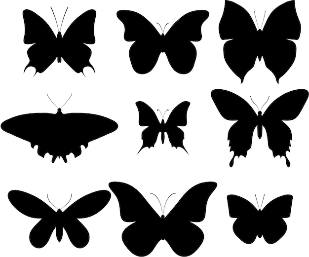 Butterflies