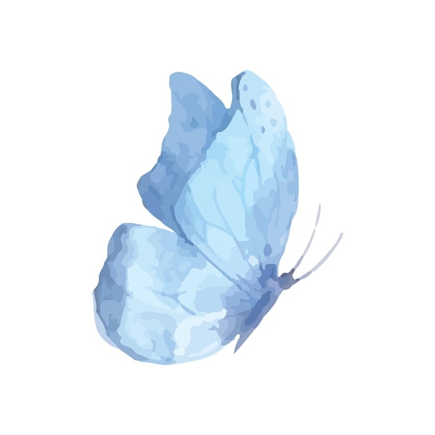 Butterfly blue violet watercolor delicate light color