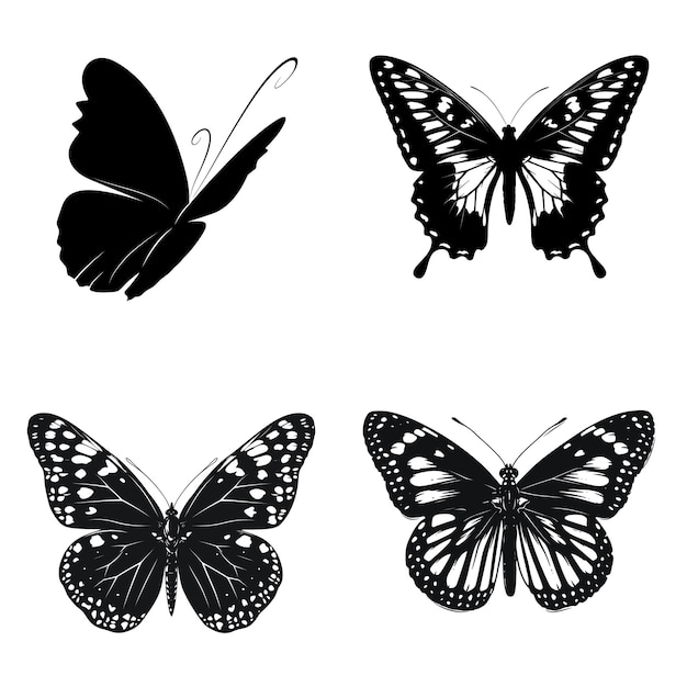 a butterfly and butterfly drawing on a white background