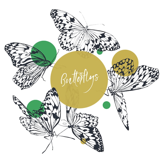 Butterfly classic collection in black and white with green bright dots. 